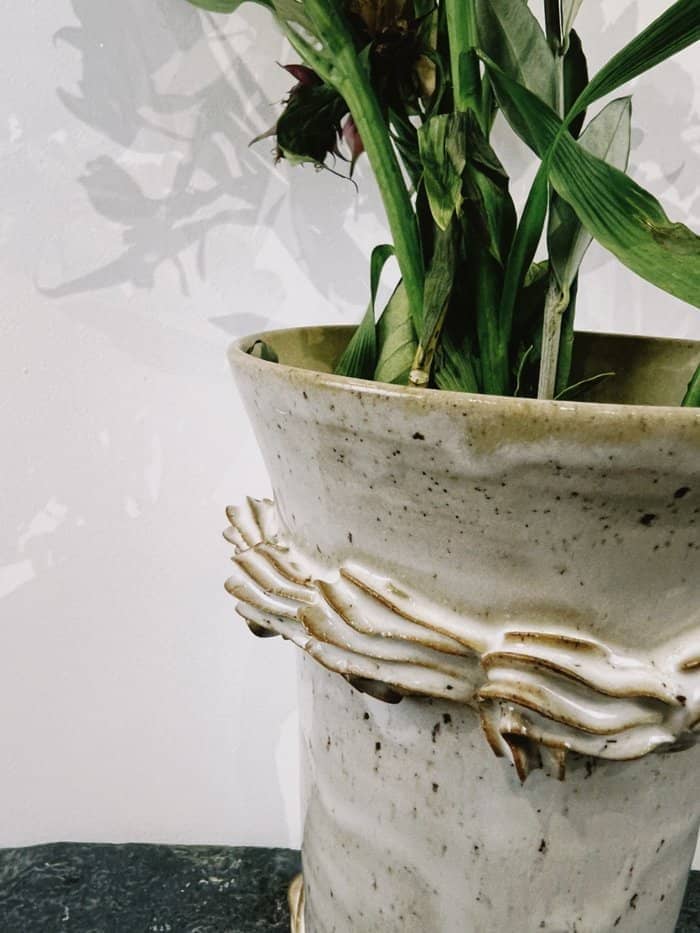 Biscuit Caked Vase - Daisy Witch Club