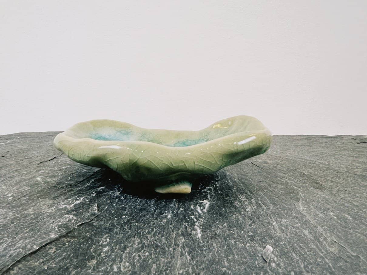 Laguna Soap Dish - Daisy Witch Club