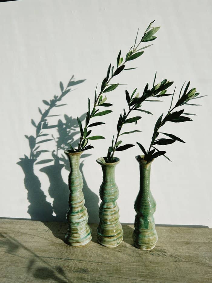 Oliva Vase VI - Daisy Witch Club