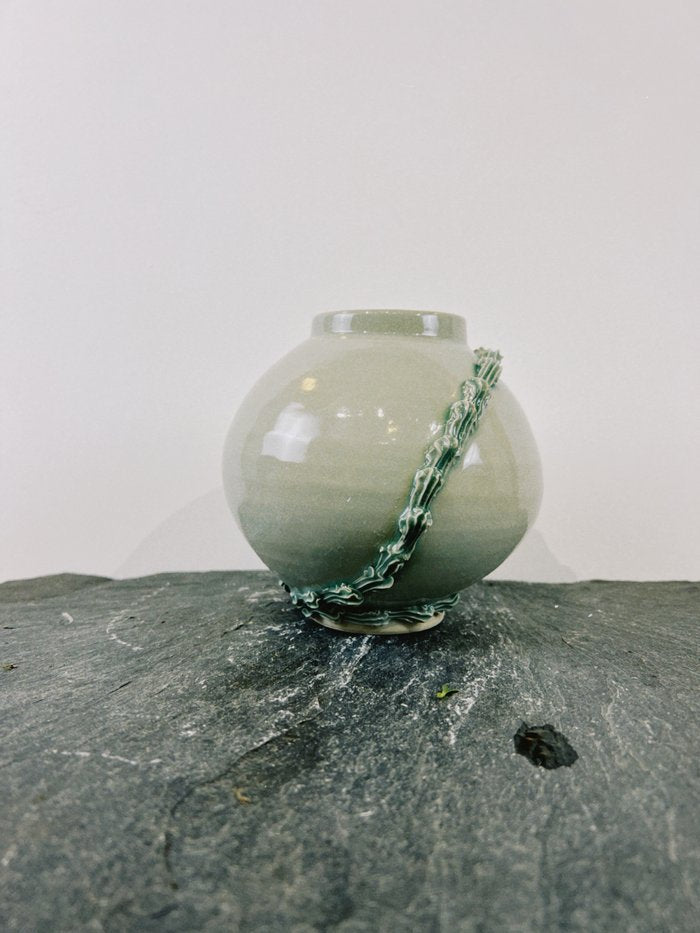 Salvia Mini Moon Jar - Daisy Witch Club