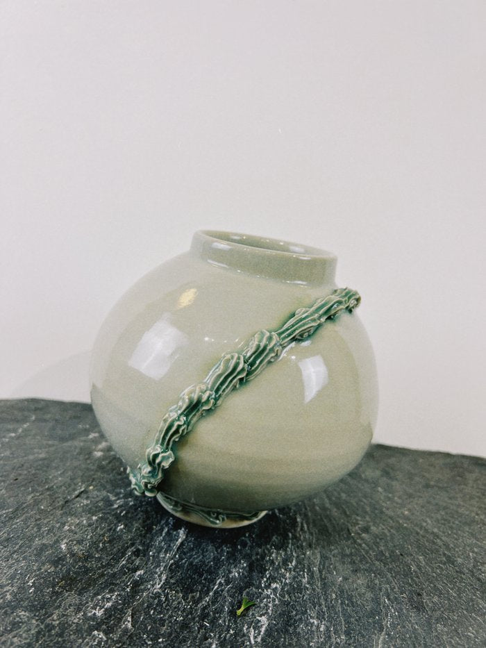 Salvia Mini Moon Jar - Daisy Witch Club